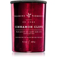 DW Home Charming Farmhouse Cinnamon Clove vonná sviečka 230 g