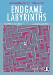 Endgame Labyrinths - Jacob Aagaard
