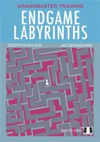 Endgame Labyrinths - Jacob Aagaard
