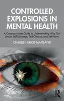 Controlled Explosions in Mental Health - Charlie Heriot-Maitland