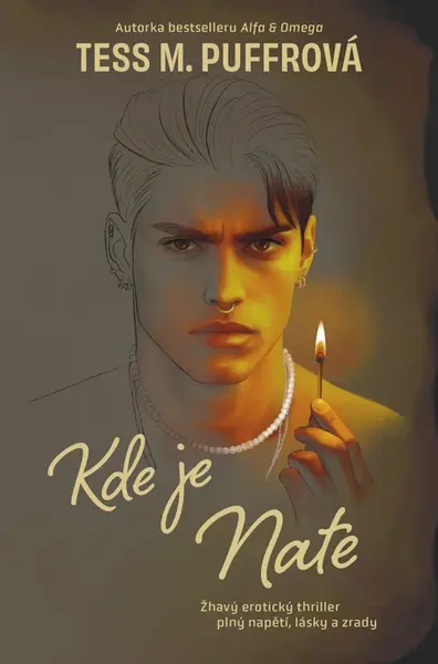 Kde je Nate (poškozená) - Tess M. Puffrová
