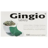 Gingio 40mg potahované tablety 100