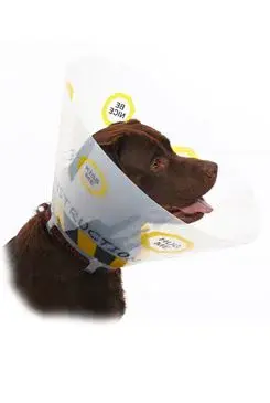 Límec ochranný Buster plastový Design Collar 15cm