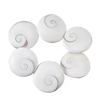 6Pcs Natural Shiva Eye Shell Cabochons