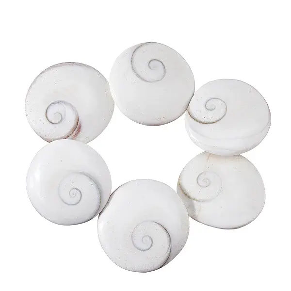 6Pcs Natural Shiva Eye Shell Cabochons