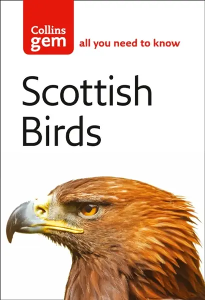 Scottish Birds - Valerie Thom