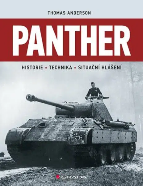 Panther - Thomas Anderson - e-kniha