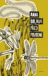Před povodní - Anna Bolavá