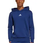 Dětská mikina adidas modrá barva, s kapucí, s aplikací, JY0612
