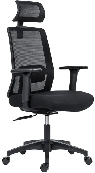 ANTARES Ergonomická kancelářská židle DELFO, černá, sezení 8 hodin denně