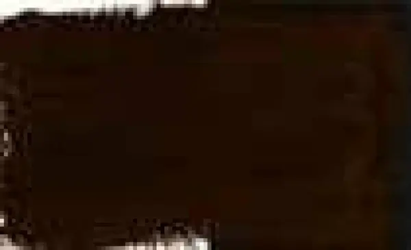 Kvašová barva DS 15ml – 08 Burnt Umber