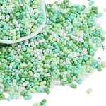 Glass Seed Beads