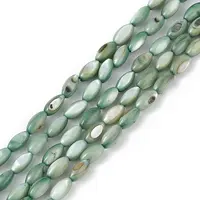 Natural Freshwater Shell Dyed Beads Strands