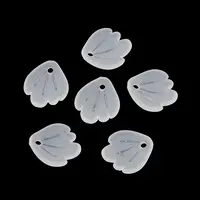 Frosted Acrylic Pendants