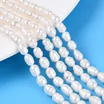 Natural Cultured Freshwater Pearl Beads Strands