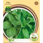 Výsevný disk Čajová zmes