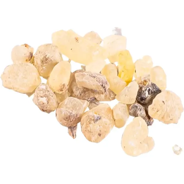 Jungle Way Oman Standard kadidlo 20 g