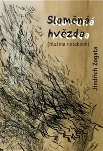 Slaměná hvězda - Jindřich Zogata