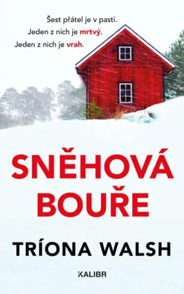 Sněhová bouře - Triona Walsh