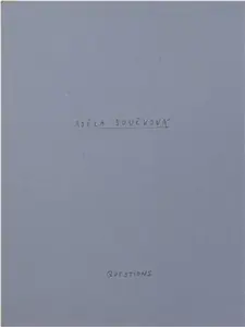 Questions - Adéla Součková
