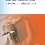 Ochrana základních práv a svobod v trestním řízení - kniha z kategorie Trestní právo