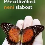 Přecitlivělost není slabost - Ilse Sand - kniha z kategorie Psychologie