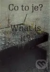 Co to je?/What is it - kniha z kategorie Design