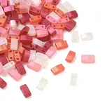 Glass 2-Hole Baking Paint Glass Seed Beads