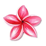 Opaque Acrylic Pendants