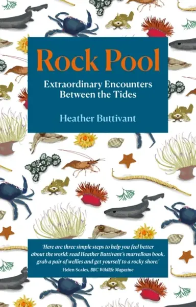 Rock Pool - Heather Buttivant