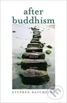 After Buddhism (Rethinking the Dharma for a Secular Age) - kniha z kategorie Filozofie