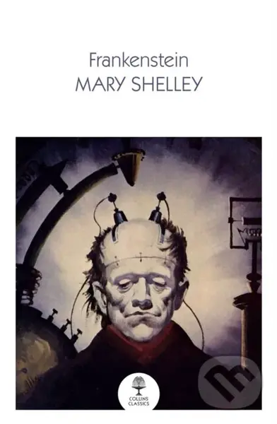 Frankenstein - Mary Shelley