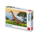 Puzzle Žirafí Rodina 1000 dílků