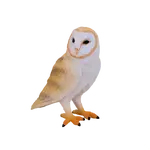 Sova pálená figurka