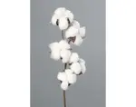 Umelá kvetina Bavlník 49 cm, biela%