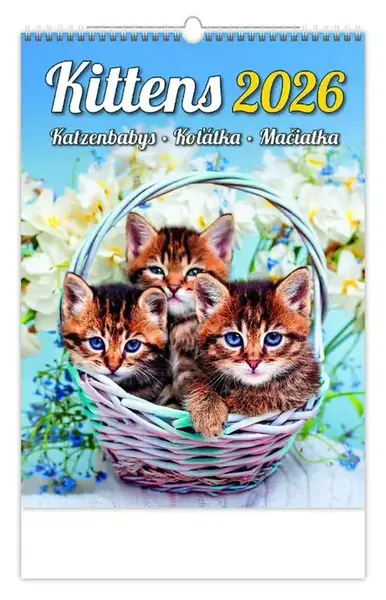 Koťátka 2026 - nástěnný kalendář