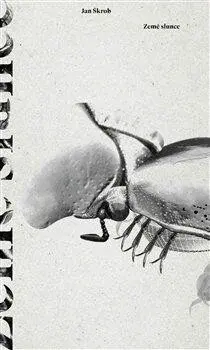 Země slunce (Defekt) - Jan Škrob