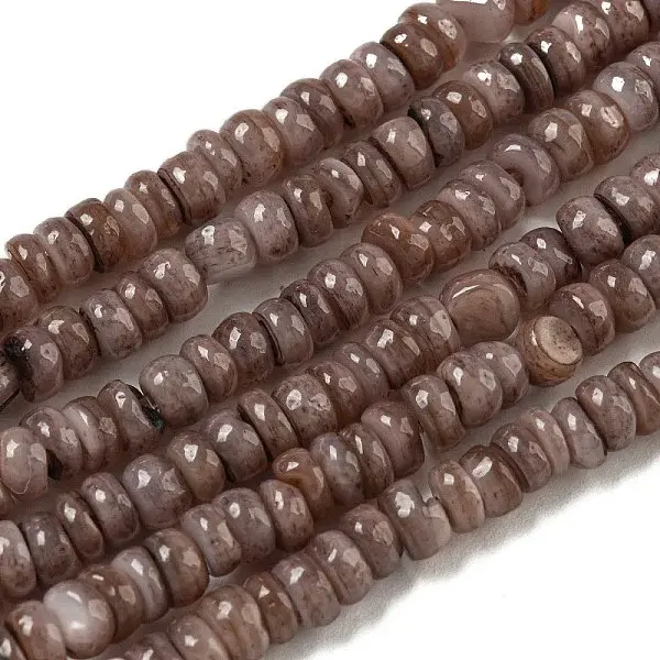 Dyed Natural Freshwater Shell Beads Strands