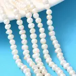 Natural Cultured Freshwater Pearl Beads Strands