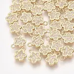 Brass Cubic Zirconia Charms