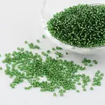 12/0 Glass Seed Beads
