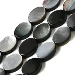 Natural Black Lip Shell Beads Strands