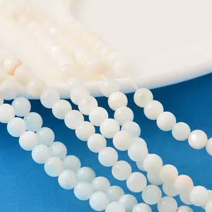 Natural Shell Beads Strands