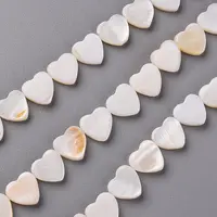 Natural Freshwater Shell Beads Strands