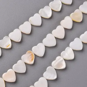 Natural Freshwater Shell Beads Strands