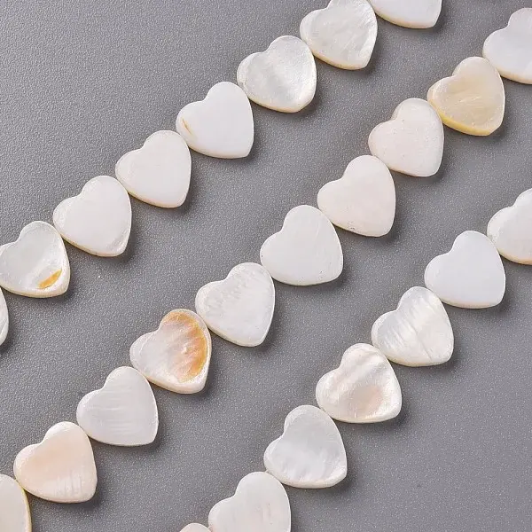 Natural Freshwater Shell Beads Strands