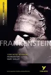 Frankenstein (York Notes Advanced) English Literature Study Guide - for 2026, 2027 exams - Mary W. Shelley
