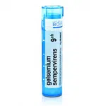 Gelsemium sempervirens 9CH granule 1x4g
