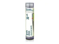 Ignatia amara 30CH granule 1x4g