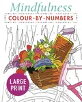 Mindfulness Colour-by-Numbers Large Print - Arcturus Publishing Limited